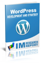 WordPress Report - Development and Strategy