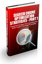Search Engine Optimization Strategies